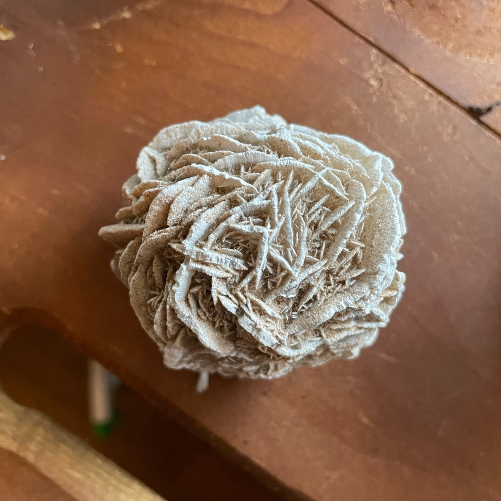 Desert Rose